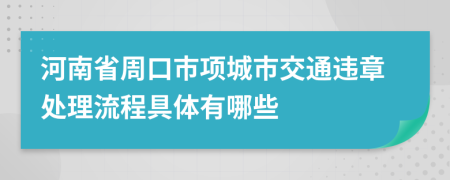 河南省周口市项城市交通违章处理流程具体有哪些