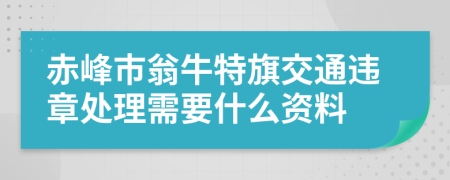 赤峰市翁牛特旗交通违章处理需要什么资料