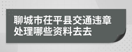 聊城市茌平县交通违章处理哪些资料去去