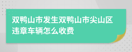 双鸭山市发生双鸭山市尖山区违章车辆怎么收费