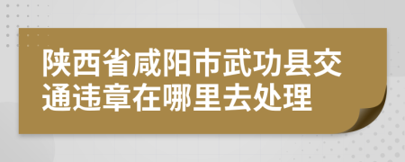 陕西省咸阳市武功县交通违章在哪里去处理