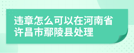 违章怎么可以在河南省许昌市鄢陵县处理