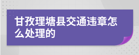 甘孜理塘县交通违章怎么处理的