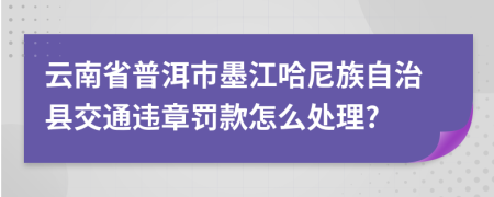 云南省普洱市墨江哈尼族自治县交通违章罚款怎么处理?