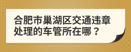 合肥市巢湖区交通违章处理的车管所在哪？