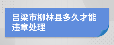 吕梁市柳林县多久才能违章处理