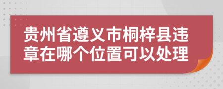 贵州省遵义市桐梓县违章在哪个位置可以处理