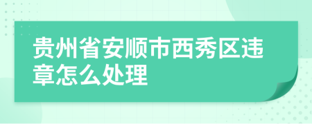 贵州省安顺市西秀区违章怎么处理