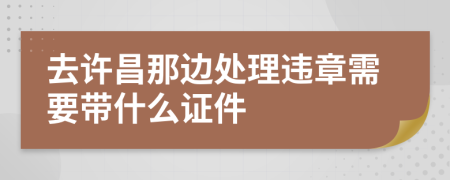 去许昌那边处理违章需要带什么证件