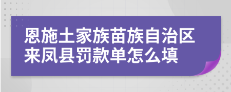 恩施土家族苗族自治区来凤县罚款单怎么填