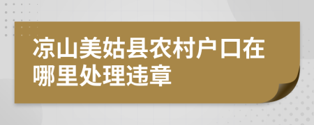 凉山美姑县农村户口在哪里处理违章