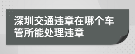 深圳交通违章在哪个车管所能处理违章