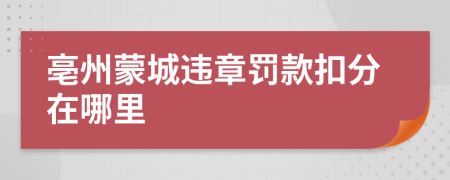 亳州蒙城违章罚款扣分在哪里