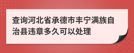 查询河北省承德市丰宁满族自治县违章多久可以处理