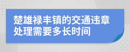 楚雄禄丰镇的交通违章处理需要多长时间