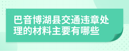 巴音博湖县交通违章处理的材料主要有哪些