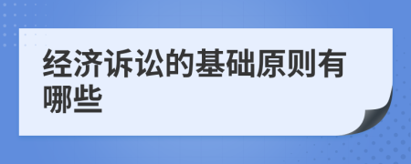 经济诉讼的基础原则有哪些