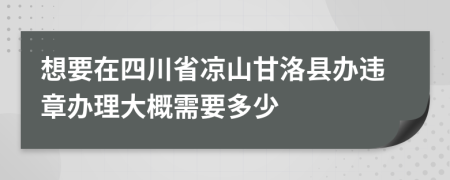 想要在四川省凉山甘洛县办违章办理大概需要多少