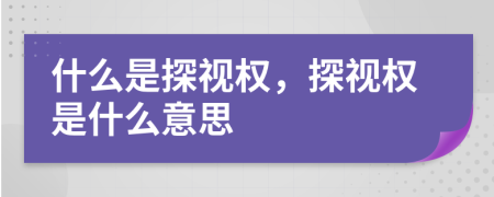 什么是探视权，探视权是什么意思