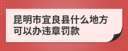 昆明市宜良县什么地方可以办违章罚款