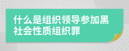 什么是组织领导参加黑社会性质组织罪