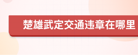 楚雄武定交通违章在哪里