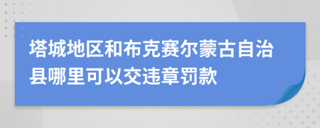 塔城地区和布克赛尔蒙古自治县哪里可以交违章罚款