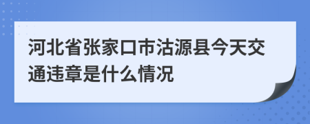 河北省张家口市沽源县今天交通违章是什么情况