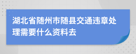 湖北省随州市随县交通违章处理需要什么资料去