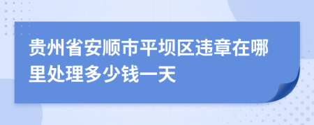 贵州省安顺市平坝区违章在哪里处理多少钱一天