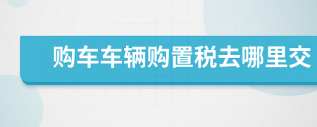 购车车辆购置税去哪里交