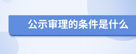 公示审理的条件是什么