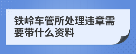 铁岭车管所处理违章需要带什么资料