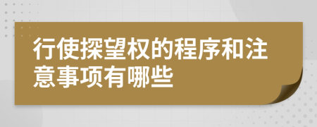 行使探望权的程序和注意事项有哪些