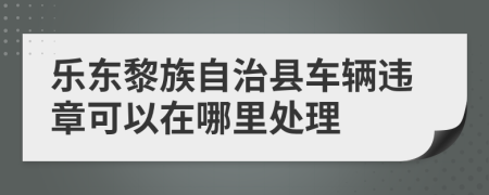 乐东黎族自治县车辆违章可以在哪里处理