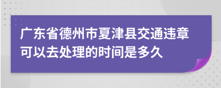 广东省德州市夏津县交通违章可以去处理的时间是多久