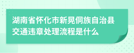 湖南省怀化市新晃侗族自治县交通违章处理流程是什么