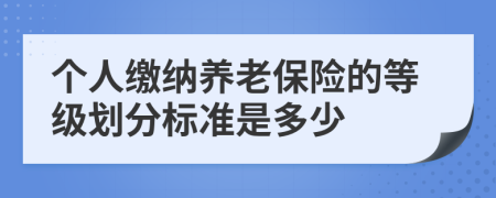 个人缴纳养老保险的等级划分标准是多少