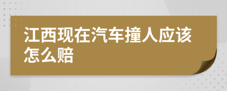 江西现在汽车撞人应该怎么赔