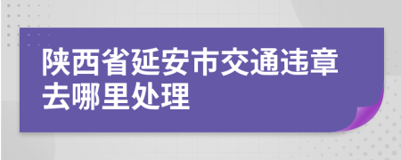 陕西省延安市交通违章去哪里处理