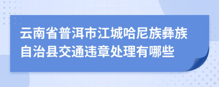 云南省普洱市江城哈尼族彝族自治县交通违章处理有哪些