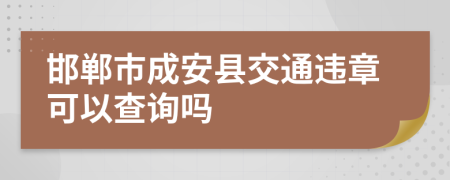 邯郸市成安县交通违章可以查询吗