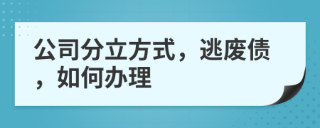 公司分立方式，逃废债，如何办理