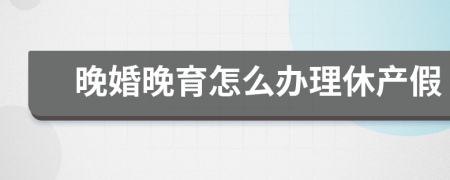 晚婚晚育怎么办理休产假