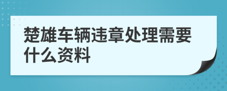 楚雄车辆违章处理需要什么资料