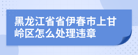 黑龙江省省伊春市上甘岭区怎么处理违章