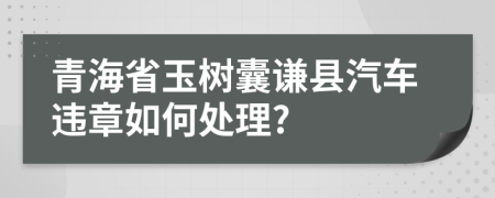 青海省玉树囊谦县汽车违章如何处理?