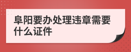 阜阳要办处理违章需要什么证件