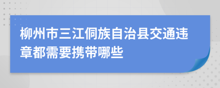 柳州市三江侗族自治县交通违章都需要携带哪些