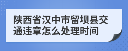 陕西省汉中市留坝县交通违章怎么处理时间